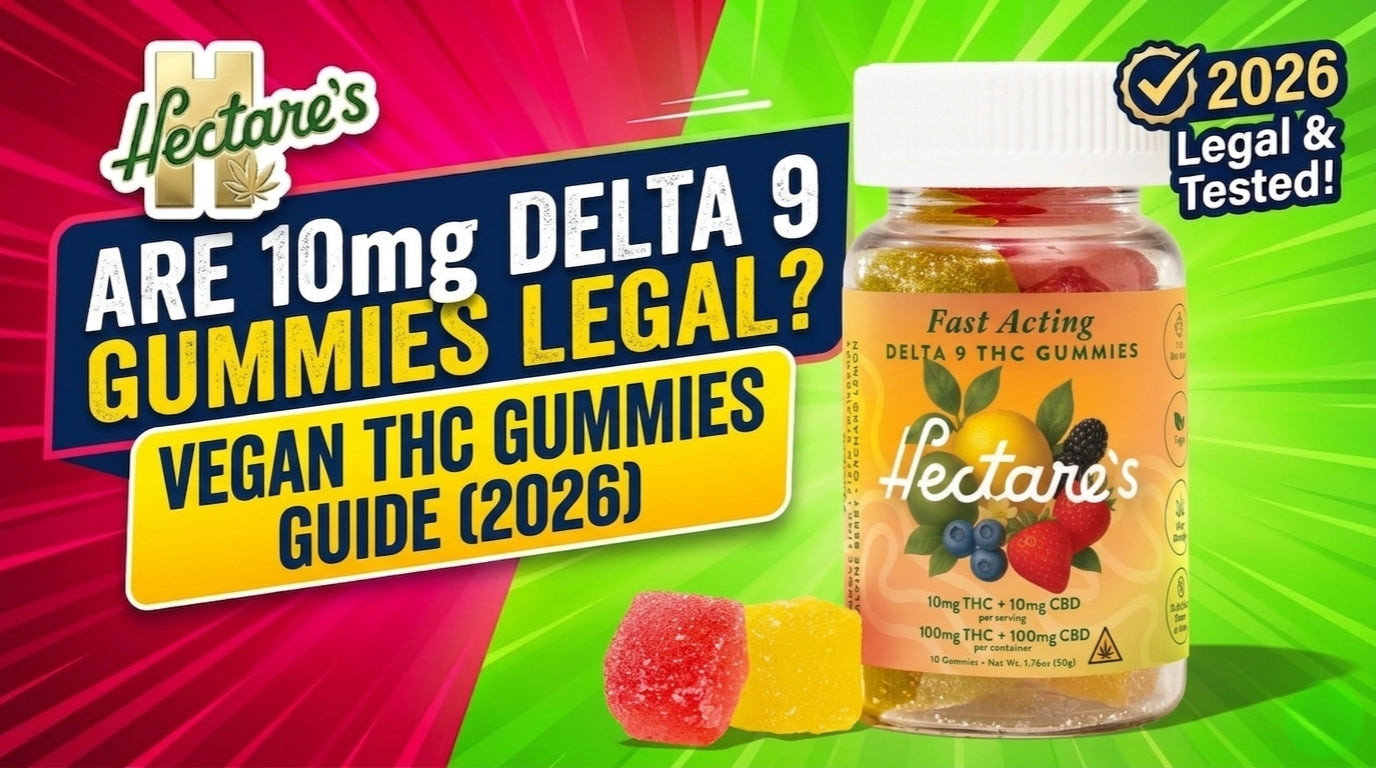 Are 10mg Delta 9 Gummies Legal? Vegan THC Gummies Guide (2026)