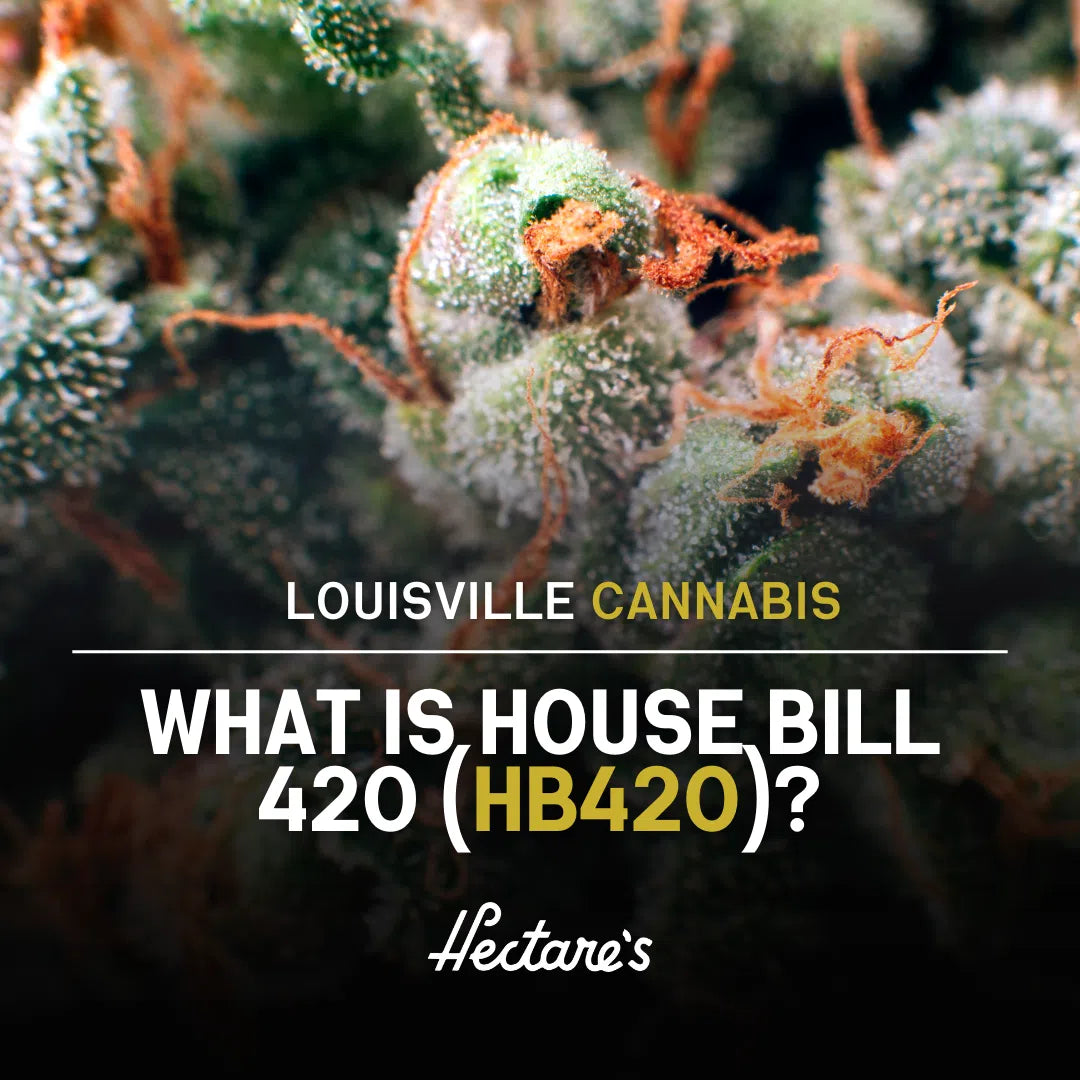 What Is House Bill 420?