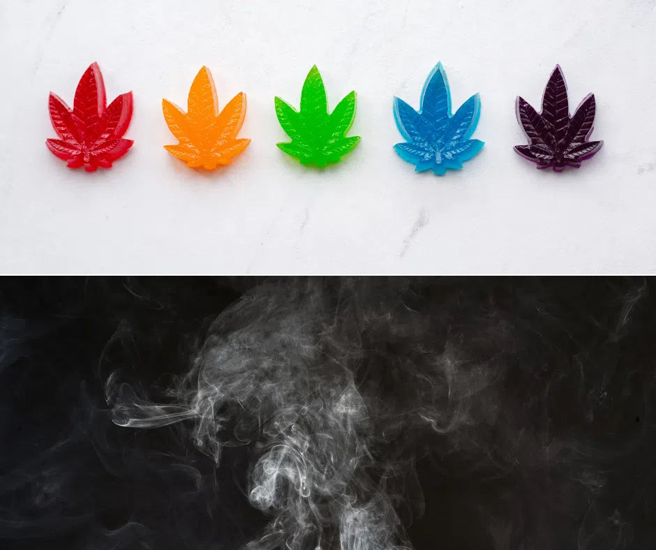 Edibles vs. Smoking: A Comprehensive Examination of Cannabis Consumption Methods