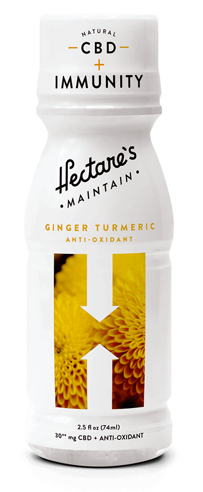 Ginger Turmeric – CBD + Antioxidants