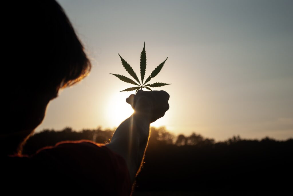 COAs picture of man holding hemp leaf at sunset