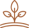seed trace icon